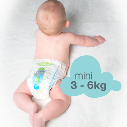 joyful size 2 mini nappy | multipack (304 nappies)