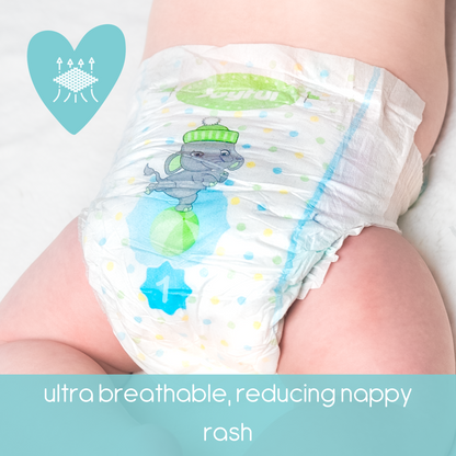 joyful size 1 newborn nappy (2-5kg)